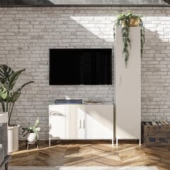 Шкаф Dorel Home Evolution, белый цена и информация | Шкафчики в гостиную | hansapost.ee