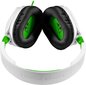 Turtle Beach Recon 70 Xbox One hind ja info | Kõrvaklapid | hansapost.ee
