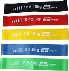 Комплект Eb Fitness Band, 5 шт. цена и информация | Тренировочные шины | hansapost.ee