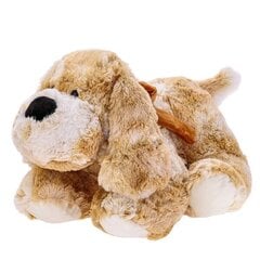 Beppe Талисман собаки Родди 30 см цена и информация |  Мягкие игрушки | hansapost.ee