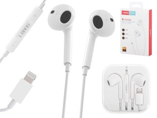 L-Brno Headphones цена и информация | Наушники | hansapost.ee