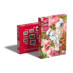 Cherry Pazzi pusle Tropic Spirits - Cockatoo 1000 tk. hind ja info | Pusled lastele ja täiskasvanutele | hansapost.ee