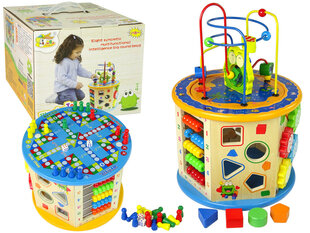 Puidust mäng rullikujuline цена и информация | Развивающие игрушки для детей | hansapost.ee