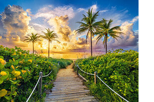 Пазл Castorland Puzzle Colorful Sunrise in Miami,USA 3000 д. цена и информация | Пазлы | hansapost.ee