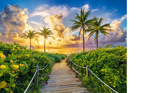 Castorland pusle Colorful Sunrise in Miami,USA 3000 det. цена и информация | Pusled lastele ja täiskasvanutele | hansapost.ee