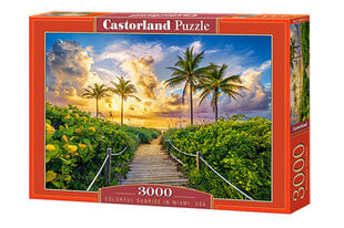 Пазл Castorland Puzzle Colorful Sunrise in Miami,USA 3000 д. цена и информация | Пазлы | hansapost.ee