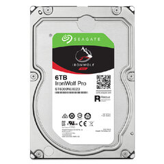 Seagate ST6000NT001 3,5" 6 TB цена и информация | Внутренние жёсткие диски (HDD, SSD, Hybrid) | hansapost.ee