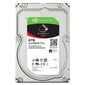 Seagate ST6000NT001 3,5" 6 TB цена и информация | Sisemised kõvakettad | hansapost.ee