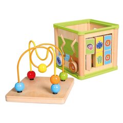 Развивающий куб цена и информация | Игрушки для малышей | hansapost.ee