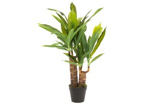 4Elav kunsttaim Yucca, 85 cm hind ja info | Sisustuselemendid | hansapost.ee