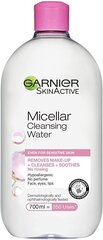 Mitsellaarvesi Garnier Skin Active 700 ml hind ja info | Näopuhastusvahendid | hansapost.ee