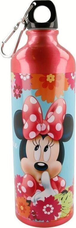Joogipudel Disney, 750 ml цена и информация | Joogipudelid | hansapost.ee
