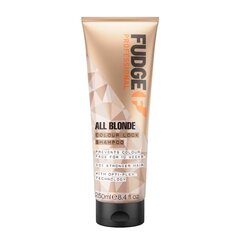 Šampoon blondidele juustele Fudge All Blonde Color Boost Shampoo, 250ml hind ja info | Šampoonid | hansapost.ee