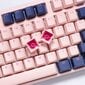 Ducky One 3 Fuji MX-Brown US цена и информация | Klaviatuurid | hansapost.ee