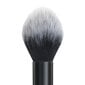 Pintsel põsepuna ja sära andvate toodete jaoks IsaDora Face Setting Brush Highlighter Pinsel 15 g. hind ja info | Meigipintslid ja meigikäsnad | hansapost.ee