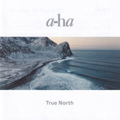 CD A-HA "True North" hind ja info | Vinüülplaadid, CD, DVD | hansapost.ee