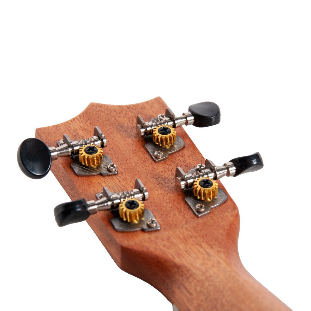 Aiersi Ukulele komplekt SU-024D цена и информация | Kitarrid | hansapost.ee