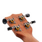 Aiersi Ukulele komplekt SU-024D hind ja info | Kitarrid | hansapost.ee