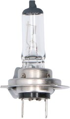 Комплект автомобильных ламп Dunlop H7 цена и информация | Автомобильные лампочки | hansapost.ee