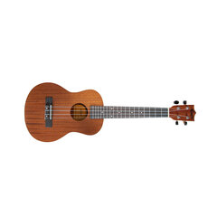 Aiersi Ukulele komplekt SU-026B price and information | Guitars | hansapost.ee