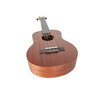 Aiersi Ukulele komplekt SU-026B hind ja info | Kitarrid | hansapost.ee