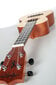 Aiersi Ukulele komplekt SU-034BG hind ja info | Kitarrid | hansapost.ee