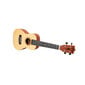 Aiersi Ukulele komplekt SU-034BG hind ja info | Kitarrid | hansapost.ee