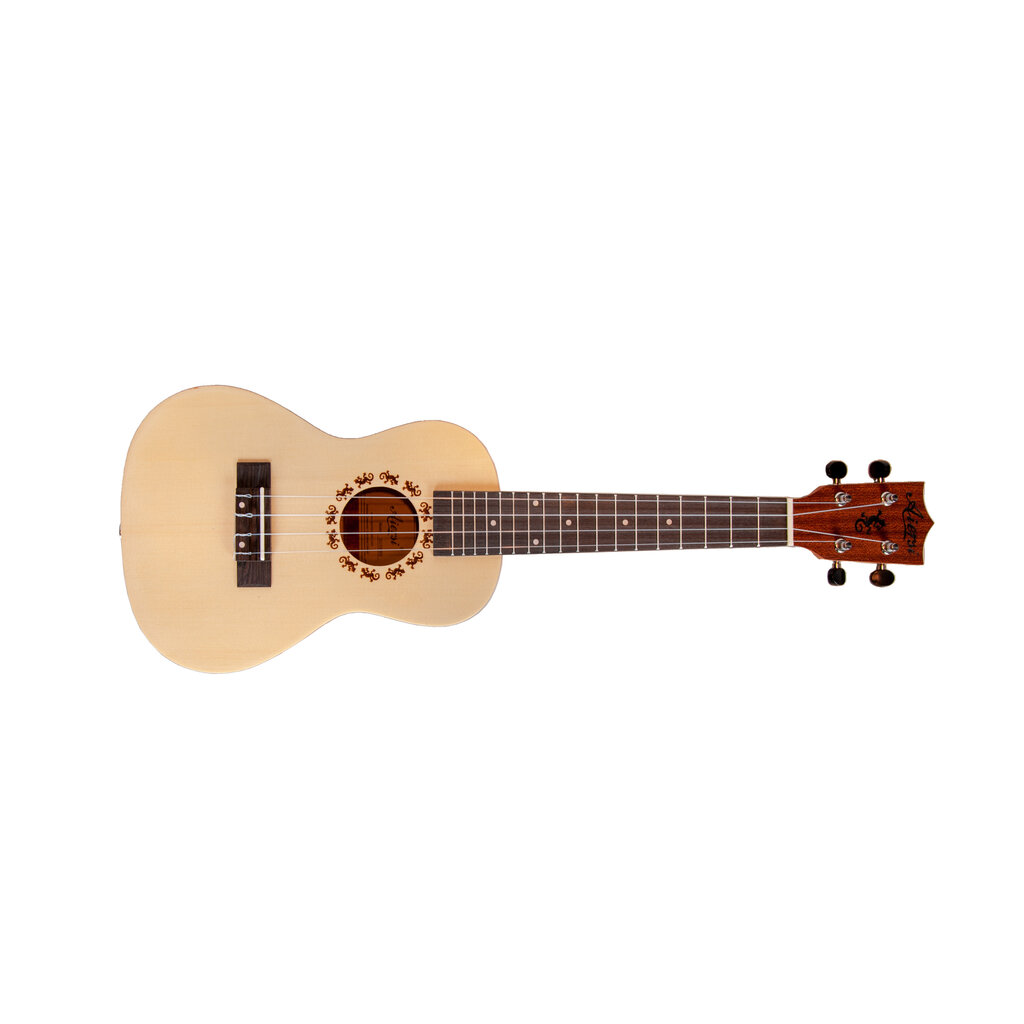 Aiersi Ukulele komplekt SU-034BG hind ja info | Kitarrid | hansapost.ee