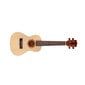 Aiersi Ukulele komplekt SU-034BG hind ja info | Kitarrid | hansapost.ee