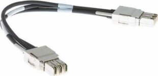 Жесткий сетевой кабель UTP кат. 6 CISCO STACK-T1-3M= 3 m (3 m) цена и информация | Кабели и провода | hansapost.ee