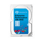 Seagate ST600MP0136 hind ja info | Sisemised kõvakettad | hansapost.ee