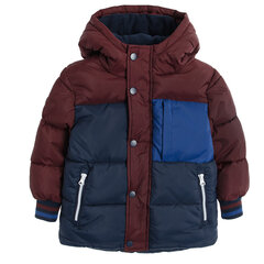Cool Club куртка для мальчиков, COB2511484 цена и информация | Зимняя одежда для детей | hansapost.ee