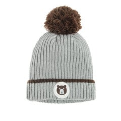 Cool Club шапка для мальчиков, CAB2502724 цена и информация | Зимняя одежда для детей | hansapost.ee