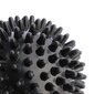 Massaažipall BLP01 BLACK SPIKY HMS цена и информация | Massaažikaubad | hansapost.ee