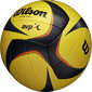 Wilson Volleyball Wilson Avp Arx Game Volleyball WTH00010XB цена и информация | Võrkpalli pallid | hansapost.ee