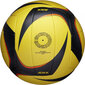 Wilson Volleyball Wilson Avp Arx Game Volleyball WTH00010XB цена и информация | Võrkpalli pallid | hansapost.ee
