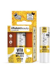 Huulepalsam Floslek #PolishBeauty Lipstick Vita, 4,1g цена и информация | Помады, бальзамы, блеск для губ | hansapost.ee