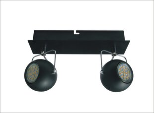 Потолочный светильник 5592-25012-Z цена и информация | Потолочные светильники | hansapost.ee