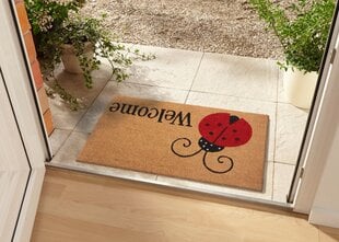 Hanse Home uksematt Lady Beetle 45x75 cm price and information | Uksematid | hansapost.ee