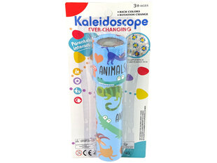 Разноцветный калейдоскоп цена и информация | Развивающие игрушки для детей | hansapost.ee
