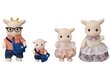 Kitseperekond Sylvanian Families цена и информация | Mänguasjad tüdrukutele | hansapost.ee