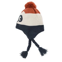 Cool Club шапка для мальчиков, CAB2531432 цена и информация | Зимняя одежда для детей | hansapost.ee
