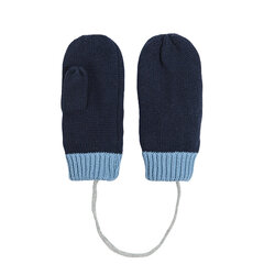 Cool Club перчатки для мальчиков, CAB2503230 цена и информация | Шапочки для новорожденных, перчатки, шарфики | hansapost.ee