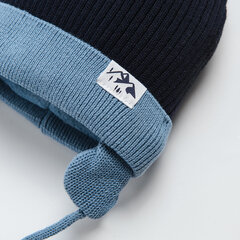 Cool Club шапка для мальчиков, CAB2503226 цена и информация | Зимняя одежда для детей | hansapost.ee