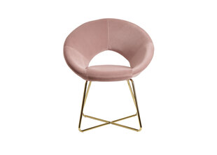Обеденный стул Tool, розовый цвет цена и информация | Стулья для кухни и столовой | hansapost.ee