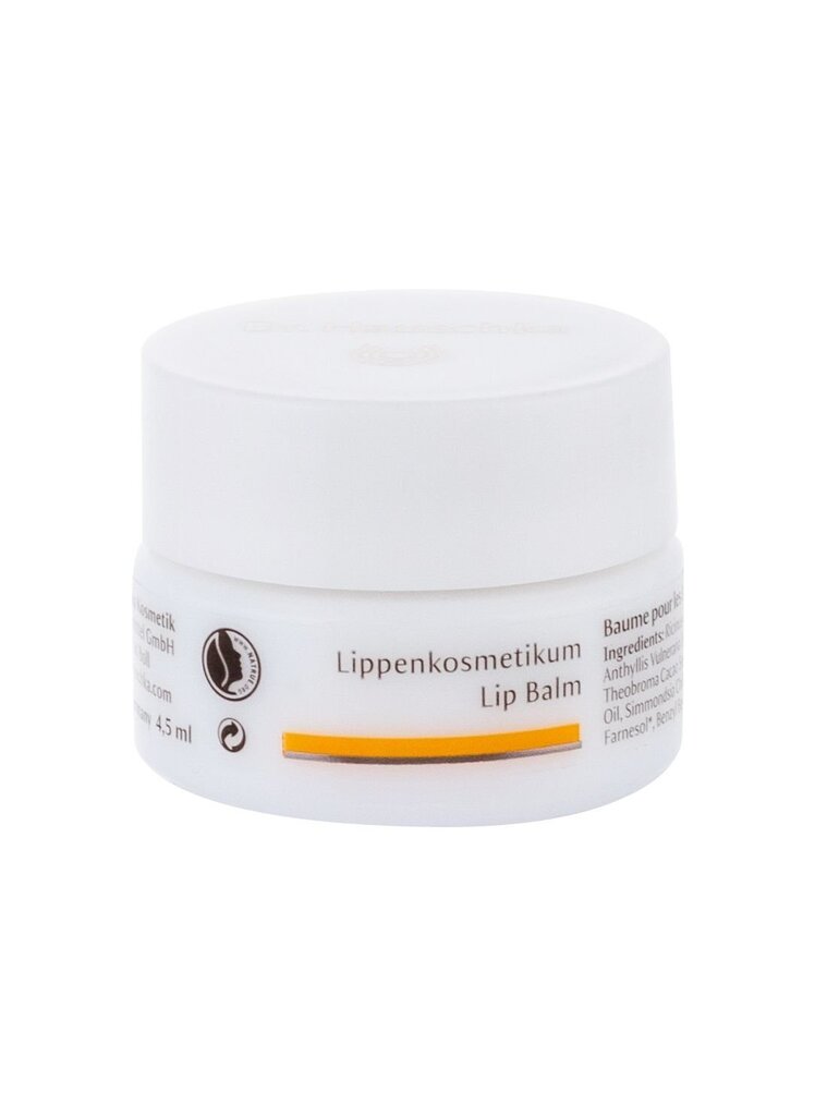 Dr. Hauschka Lip Balm huulepalsam 4,5 ml price and information | Huulekosmeetika | hansapost.ee