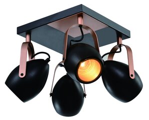 Laelamp Candellux 98-83128 цена и информация | Потолочные светильники | hansapost.ee