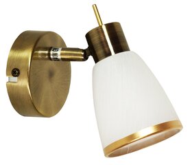 Настенный светильник Candellux 5591-70012 цена и информация | Настенные светильники | hansapost.ee