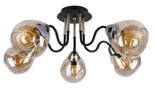 Laevalgusti Candellux 35-00897 hind ja info | Laelambid | hansapost.ee