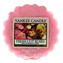 Yankee Candle Свеча классическая маленькая Mango Peach Salsa 104 г цена и информация | Свечи, подсвечники | hansapost.ee